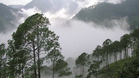 Travelers are required to make online booking of their accommodation in Mussoorie after getting negative reports of RT-PCR tests. Those without a Covid-19 negative report would be denied entry. (Photo via Creative Commons)