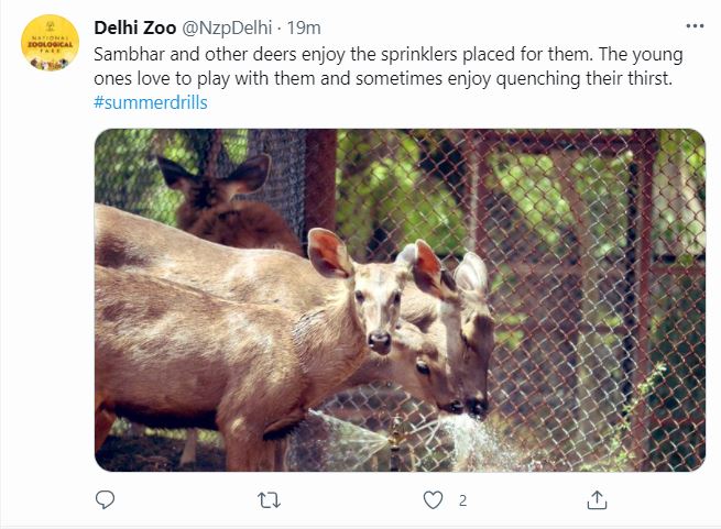 Animals are being given seasonal leafy veges, cucumbers and fruits such as melons, bel, and even dishes such as kheer (for bears) and khichadi.