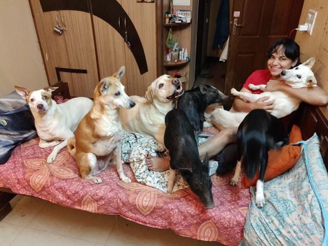 Sandhya Satyamurthy with her two pigs and five dogs. The pigs really do eat anything, from chicken and vegetables to dog food and table scraps, she says.