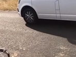 The image shows the snake in the middle of a road.