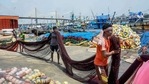 Agriculture and related activities have also been allowed to resume by the Goa government. (PTI Photo) (PTI) Agriculture and related activities have also been allowed to resume by the Goa government. (PTI Photo) (PTI)