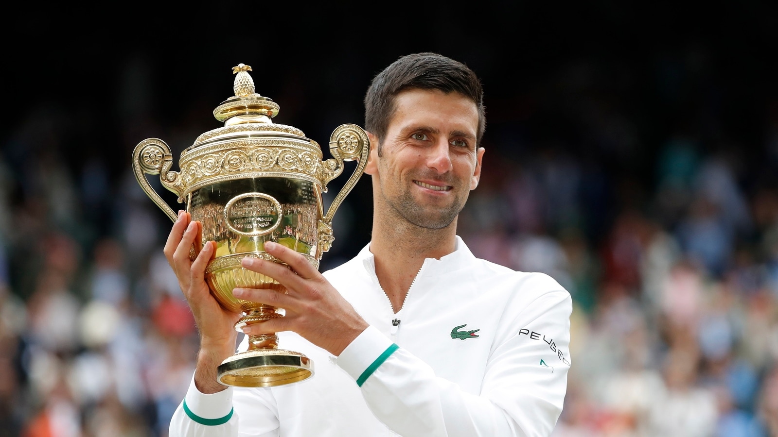 Novak Djokovic wins sixth Wimbledon title and 20th Grand Slam with victory  over Matteo Berrettini