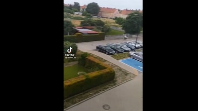 The image shows a still from the cat video with a twist. (Screengrab)