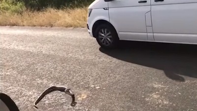 The image shows the snake in the middle of a road. (YouTube/@ Latest Sightings)