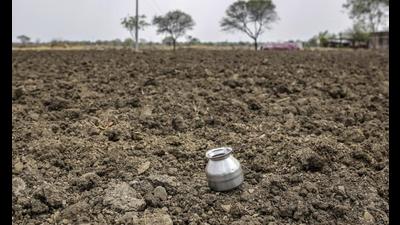 The dry spell commenced soon after the transplantation of paddy officially began on June 15. (Representative Image/HT File) The dry spell commenced soon after the transplantation of paddy officially began on June 15. (Representative Image/HT File)