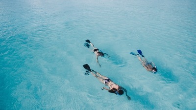 Snorkelling Trips: If you do not want to go diving then you can opt for snorkelling and catch sight of sea turtles. (Unsplash) Snorkelling Trips: If you do not want to go diving then you can opt for snorkelling and catch sight of sea turtles. (Unsplash)