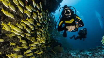Scuba Diving: The Maldives is the best place to experience scuba diving. (Unsplash) Scuba Diving: The Maldives is the best place to experience scuba diving. (Unsplash)