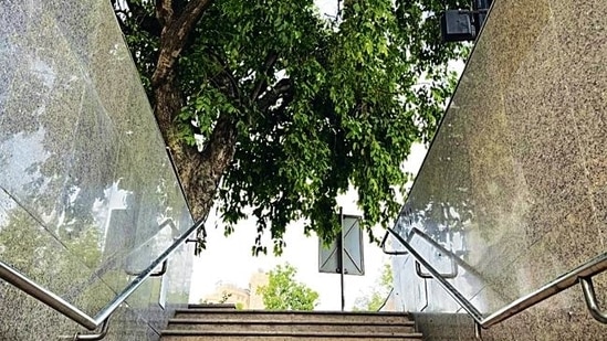 rabindranath ekhane kokhono khete asen ni watch online free