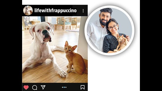 HT Brunch Game Show: Which pet Instagram is the best? - Hindustan Times