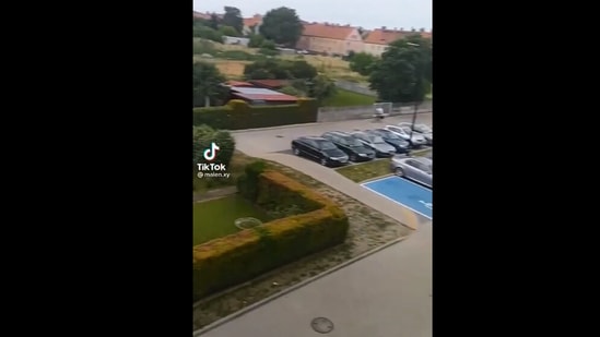 The image shows a still from the cat video with a twist.(Screengrab)