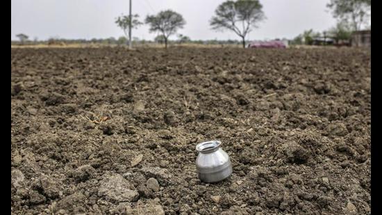 The dry spell commenced soon after the transplantation of paddy officially began on June 15. (Representative Image/HT File)