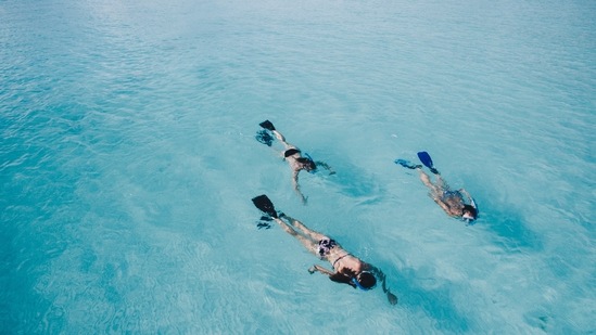 Snorkelling Trips: If you do not want to go diving then you can opt for snorkelling and catch sight of sea turtles.(Unsplash)