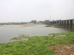 Delhi receives Yamuna water from Haryana at three places — CLC Channel, DSB Channel, and the Wazirabad pond. (ANI Photo) Delhi receives Yamuna water from Haryana at three places — CLC Channel, DSB Channel, and the Wazirabad pond. (ANI Photo)