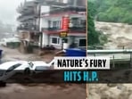 Startling visuals from Himachal Pradesh's Dharamshala of flash floods (ANI)