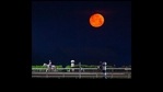 Both Mars and Venus will appear in the western horizon under clear weather conditions just after sunset.(Twitter/BH_AEberhardt) Both Mars and Venus will appear in the western horizon under clear weather conditions just after sunset.(Twitter/BH_AEberhardt)