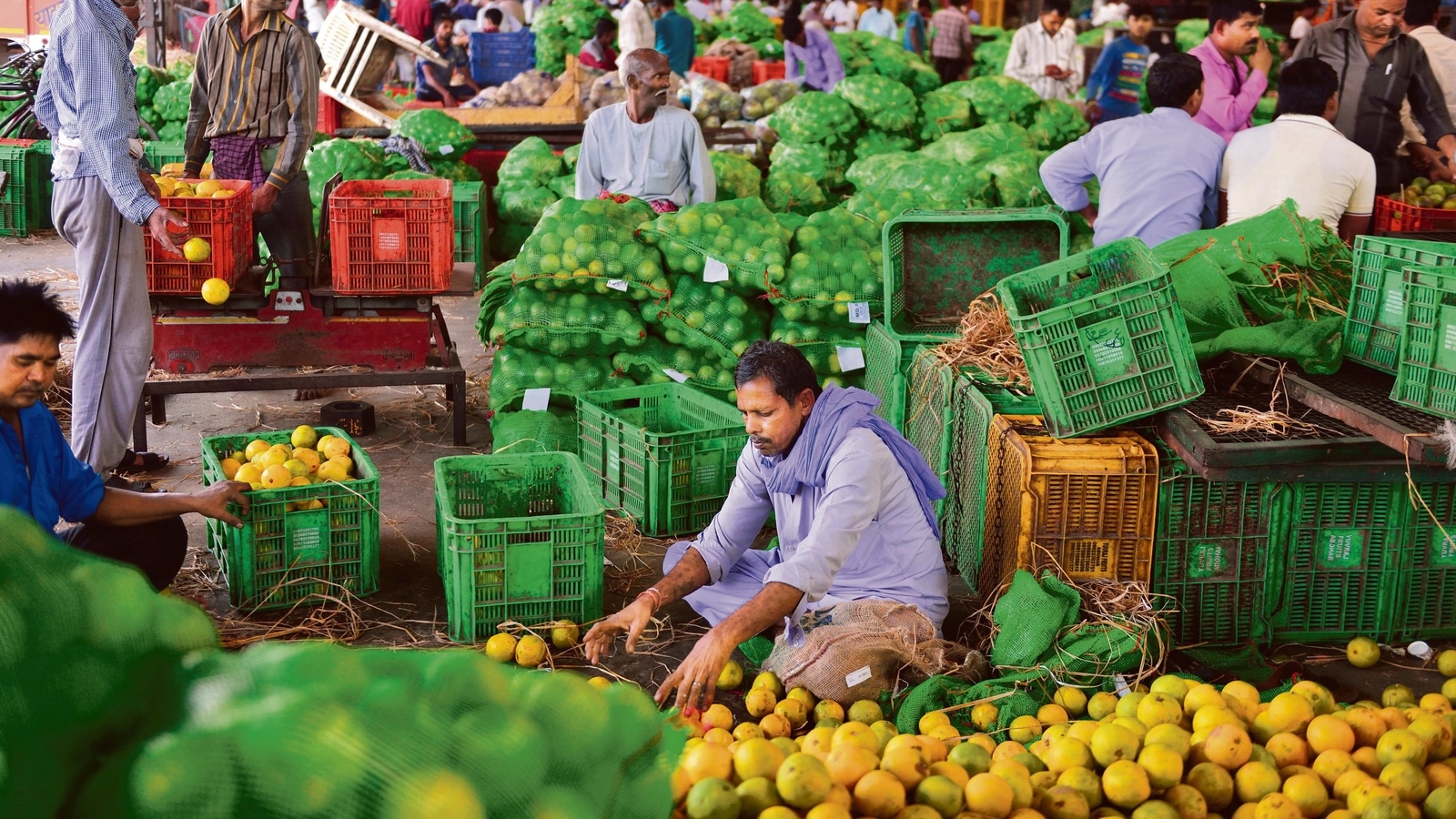 India’s Retail Inflation likely slowed to 5.78 per cent in July: Reuters Poll India’s Retail Inflation likely slowed to 5.78 per cent in July: Reuters Poll
