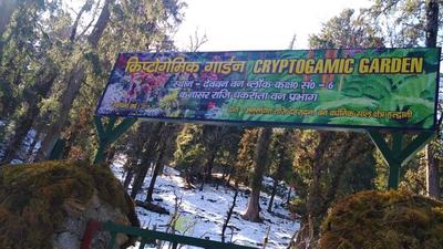 Uttarakhand Forest department on Sunday dedicated the state’s first Cryptogamic garden in Deoban area of Dehradun district. (HT photos) Uttarakhand Forest department on Sunday dedicated the state’s first Cryptogamic garden in Deoban area of Dehradun district. (HT photos)