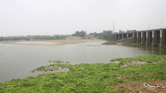 Delhi receives Yamuna water from Haryana at three places — CLC Channel, DSB Channel, and the Wazirabad pond. (ANI Photo)