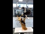 Amaury Guichon shared a video on Instagram that shows him creating the chocolate bald eagle.(Instagram/@amauryguichon)