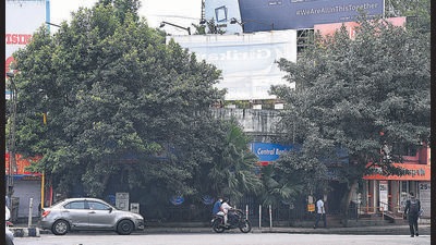 The social organisation has decried the decision taken by the PMC committee to fell two trees near Central Bank of India premises, Khanduji Baba chowk, Deccan in Pune. (HT) The social organisation has decried the decision taken by the PMC committee to fell two trees near Central Bank of India premises, Khanduji Baba chowk, Deccan in Pune. (HT)