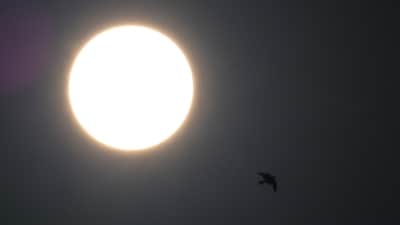 The National Oceanic and Atmospheric Administration (NOAA) has classified this storm as G-1 or 'minor'. (AFP) The National Oceanic and Atmospheric Administration (NOAA) has classified this storm as G-1 or 'minor'. (AFP)