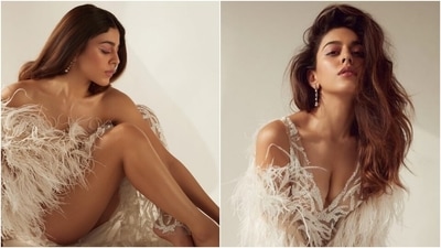 Alaya F in sheer thigh-slit gown and feather-adorned drape is an ethereal dream (Instagram/chandiniw) Alaya F in sheer thigh-slit gown and feather-adorned drape is an ethereal dream (Instagram/chandiniw)