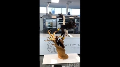 Amaury Guichon shared a video on Instagram that shows him creating the chocolate bald eagle. (Instagram/@amauryguichon) Amaury Guichon shared a video on Instagram that shows him creating the chocolate bald eagle. (Instagram/@amauryguichon)