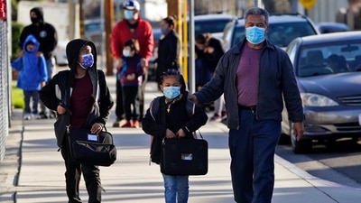 Lead author Sharon Lewin from Australia’s Peter Doherty Institute for Infection and Immunity said the team designed the CRISPR tool to recognise Sars-CoV-2. (AP file photo for representation)