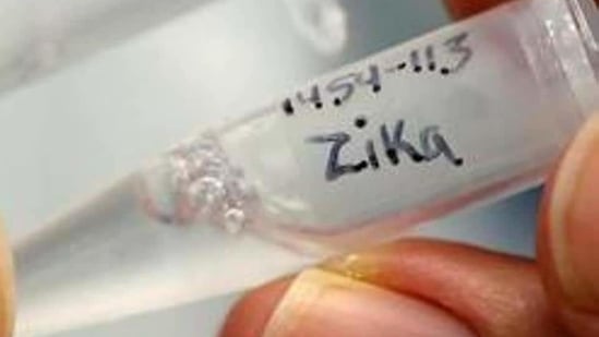 The Zika virus is transmitted by the Aedes aegypti mosquitoes. (Representative Photo/Reuters)