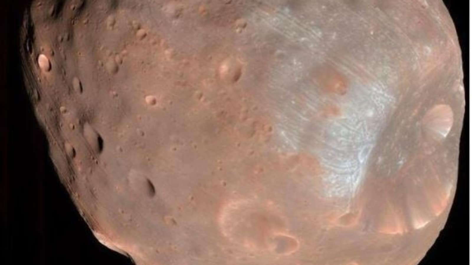 Photo of Mars moon or potato?NASA shares images of Phobos