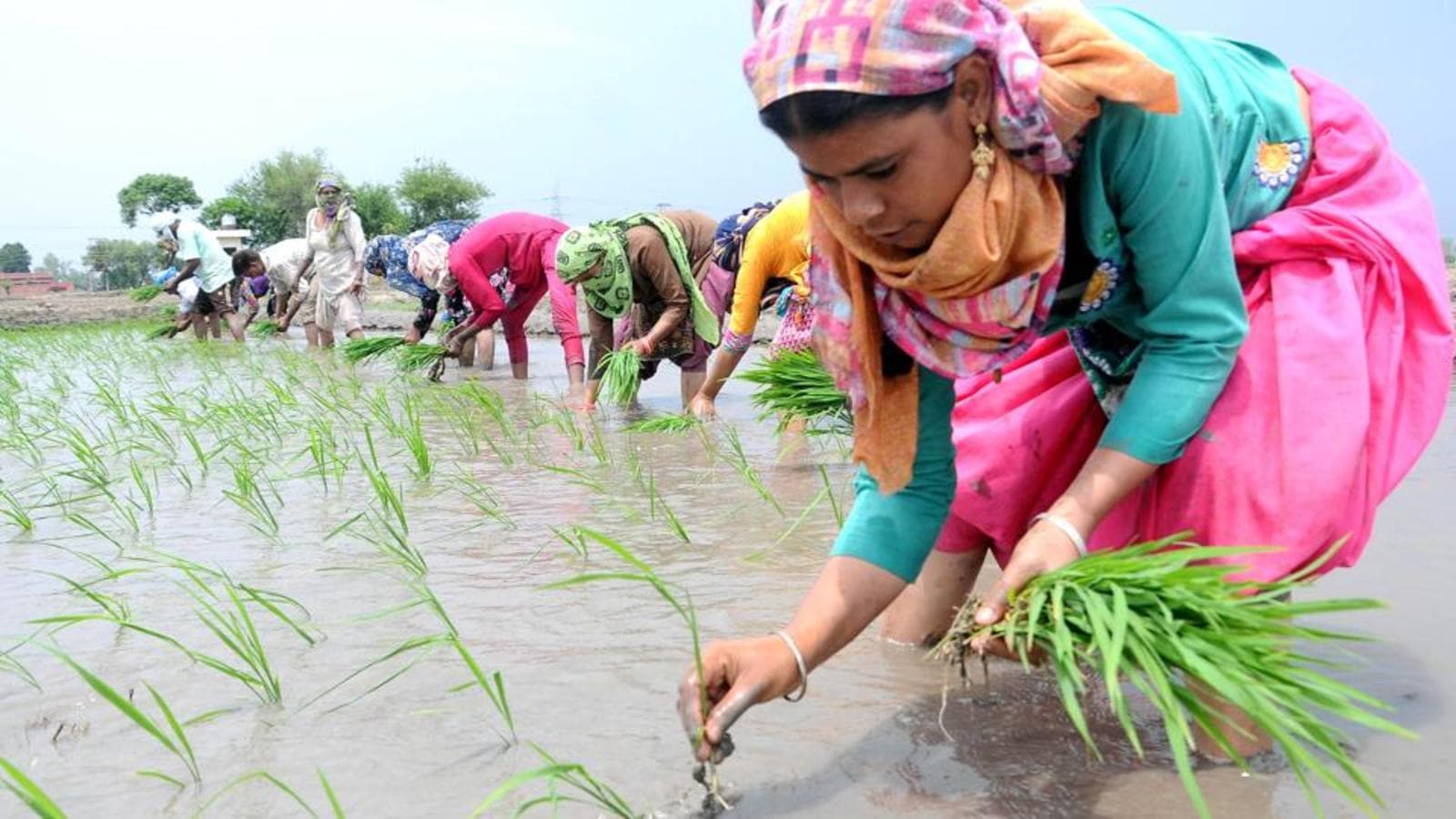 Women work more, earn less, and face greater health risks