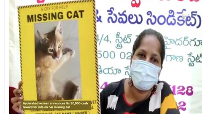 "The cat went through a family planning surgery on June 17 at a pet clinic. After the surgery, the swelling was observed at the spot of stitches and was again admitted into the same pet hospital on June 23," said Serina Natto "The cat went through a family planning surgery on June 17 at a pet clinic. After the surgery, the swelling was observed at the spot of stitches and was again admitted into the same pet hospital on June 23," said Serina Natto