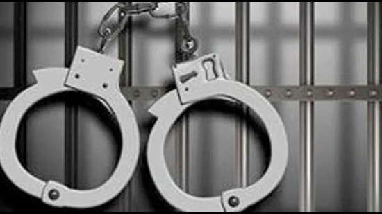 Two inmates held for running fake website from Nabha jail