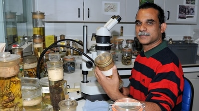 SD Biju at his lab at the University of Delhi. He is currently dean of the faculty of science. This is where he and his team study the samples and data that they collect in the field, record morphological and anatomical data and conduct DNA analyses. It can take multiple field trips and years of analysis before a new species is formally named. (Courtesy SD Biju) SD Biju at his lab at the University of Delhi. He is currently dean of the faculty of science. This is where he and his team study the samples and data that they collect in the field, record morphological and anatomical data and conduct DNA analyses. It can take multiple field trips and years of analysis before a new species is formally named. (Courtesy SD Biju)