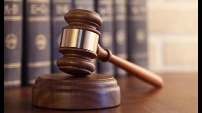Irrigation scam: HC directs Punjab to look into allegations of ‘shoddy’ probe