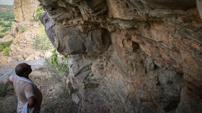 A man looking at a wall in a cave it the Aravalli mountain range in Haryana on July 10. Archaeologists are viewing the paintings in continuation with the Soanian culture which has been found in Shivalik hills, Narmada and Aravallis, Bhattacharyya said. (Sanchit Khanna / HT Photo) A man looking at a wall in a cave it the Aravalli mountain range in Haryana on July 10. Archaeologists are viewing the paintings in continuation with the Soanian culture which has been found in Shivalik hills, Narmada and Aravallis, Bhattacharyya said. (Sanchit Khanna / HT Photo)