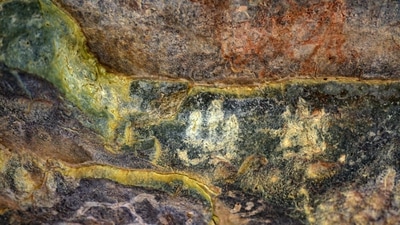 Specimens of pre-historic cave art in the Aravallis in Haryana on July 10. The Upper Paleolithic Age began around 40,000 years ago and lasted till around 10,000 years ago. Bhattacharyya, who was part of the team, said the discovery is extremely significant. “Though tools from the Palaeolithic Age have been identified earlier in parts of the Aravallis, it is for the first time that cave paintings and rock art of a large magnitude have been found in Haryana.” (Sanchit Khanna / HT Photo) Specimens of pre-historic cave art in the Aravallis in Haryana on July 10. The Upper Paleolithic Age began around 40,000 years ago and lasted till around 10,000 years ago. Bhattacharyya, who was part of the team, said the discovery is extremely significant. “Though tools from the Palaeolithic Age have been identified earlier in parts of the Aravallis, it is for the first time that cave paintings and rock art of a large magnitude have been found in Haryana.” (Sanchit Khanna / HT Photo)