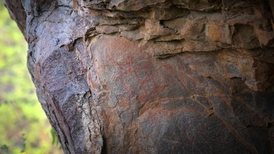 Geometric cave art in the Aravallis in Haryana on July 10. The Mangar cave art is 20,000-40,000 years old, according to Bhattacharyya, but this is something that can be established through archaeological dating. It is for the first time that cave paintings at the current site have caught the attention of researchers. and Bhattacharyya believes the site may have remained relatively undiscovered due to thick vegetation. (Sanchit Khanna / HT Photo) Geometric cave art in the Aravallis in Haryana on July 10. The Mangar cave art is 20,000-40,000 years old, according to Bhattacharyya, but this is something that can be established through archaeological dating. It is for the first time that cave paintings at the current site have caught the attention of researchers. and Bhattacharyya believes the site may have remained relatively undiscovered due to thick vegetation. (Sanchit Khanna / HT Photo)