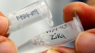 The first case of the mosquito-borne viral infection in Kerala was confirmed on July 8 in a 24-year-old pregnant woman. (Reuters) The first case of the mosquito-borne viral infection in Kerala was confirmed on July 8 in a 24-year-old pregnant woman. (Reuters)
