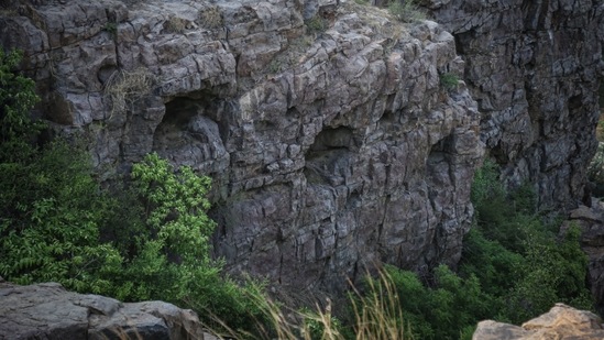 A cliff-face in the Aravallis in Haryana on July 10. Residents of nearby villages said they know of the paintings, but that their historical importance eluded them. Hamid, a resident of Selakheri who uses only one name, told HT: “We know that these paintings must be quite old. It’s evident if you look at them. However, one can’t understand or make sense of symbols or the writing.” Shaukat Ali, a septuagenarian, said, “People go there regularly, particularly women -- for grazing goats or routine walks. The caves are a part of our lives...”(Sanchit Khanna / HT Photo)