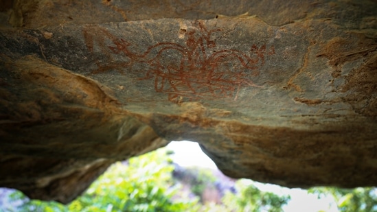 A cave painting in the Aravalli Range of mountains in Haryana on July 10. “So far, cave paintings in Delhi-NCR have only been found here. Most pre-historic sites have been traced in the Aravalli region. The paintings are yet to be dated but at least some of them belong to the Upper Palaeolithic period in all likelihood,” Banani Bhattacharyya, deputy director of the department of archaeology and museums, told HT.(Sanchit Khanna / HT Photo)