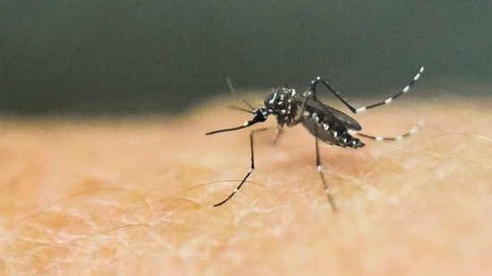 The health ministry of Kerala on Thursday said that five more people have tested positive for the Zika virus. (AFP)