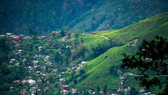 Darjeeling and Kalimpong, West Bengal: You can travel to two of the most sought after tourist destinations easily by flight. The nearest airport is Bagdogra Airport and the distance from Bagdogra Airport to Darjeeling is 2 hours 46 minutes.(Unsplash)