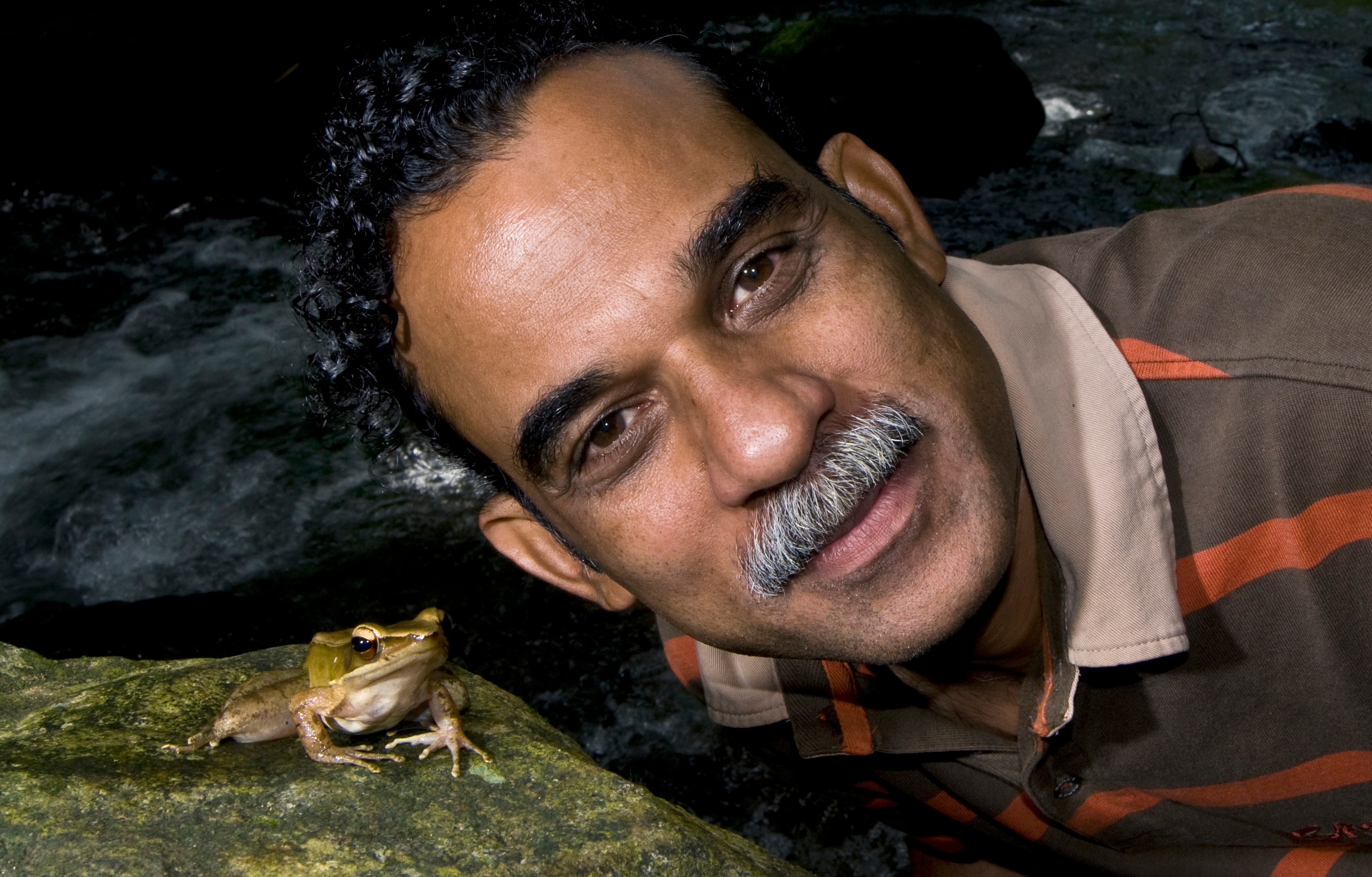 Amphibian biologist Sathyabhama Das Biju with a golden-backed frog in the Western Ghats. In addition to discovering 105 species so far, Biju has conducted research that proved groundbreaking. He was instrumental in differentiating between the golden-backed frogs in India and those in Sri Lanka, for instance. After a decade-long survey in the Western Ghats and Sri Lanka, analysing DNA and morphology, Biju concluded that were no golden-backs that were common to both countries. Sri Lanka has one species and the Western Ghats has six, each existing in their own narrow geographies. Amphibian biologist Sathyabhama Das Biju with a golden-backed frog in the Western Ghats. In addition to discovering 105 species so far, Biju has conducted research that proved groundbreaking. He was instrumental in differentiating between the golden-backed frogs in India and those in Sri Lanka, for instance. After a decade-long survey in the Western Ghats and Sri Lanka, analysing DNA and morphology, Biju concluded that were no golden-backs that were common to both countries. Sri Lanka has one species and the Western Ghats has six, each existing in their own narrow geographies.