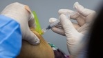 US Centers for Disease Control and Prevention director Rochelle Walensky called Delta variant of Covid-19 a pandemic of the unvaccinated,(Bloomberg) US Centers for Disease Control and Prevention director Rochelle Walensky called Delta variant of Covid-19 a pandemic of the unvaccinated,(Bloomberg)