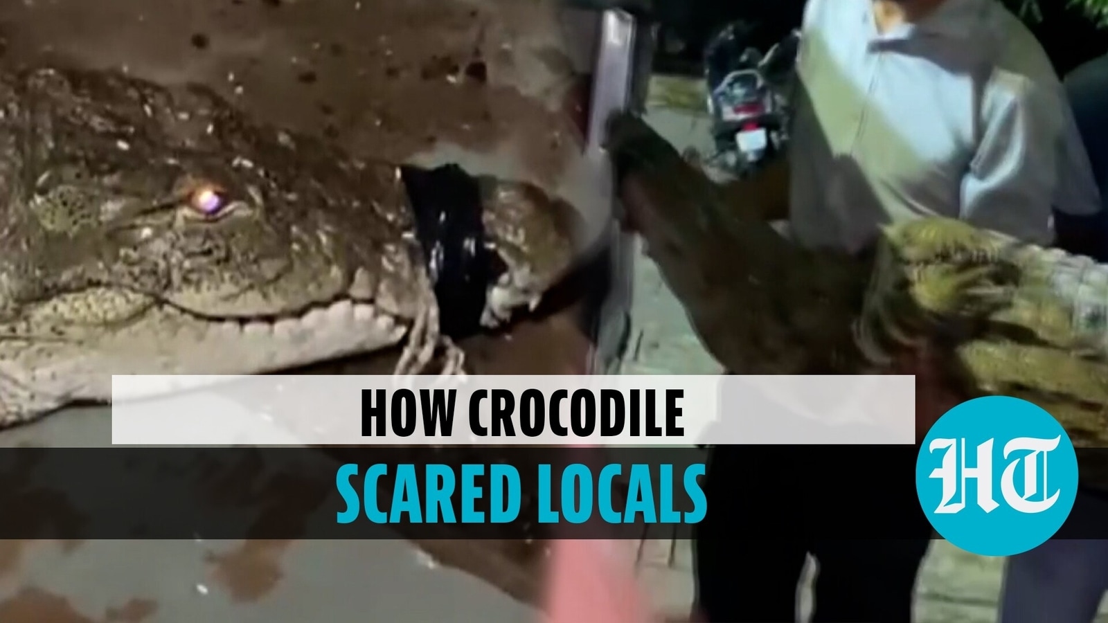 Vadodara earthquake zone image