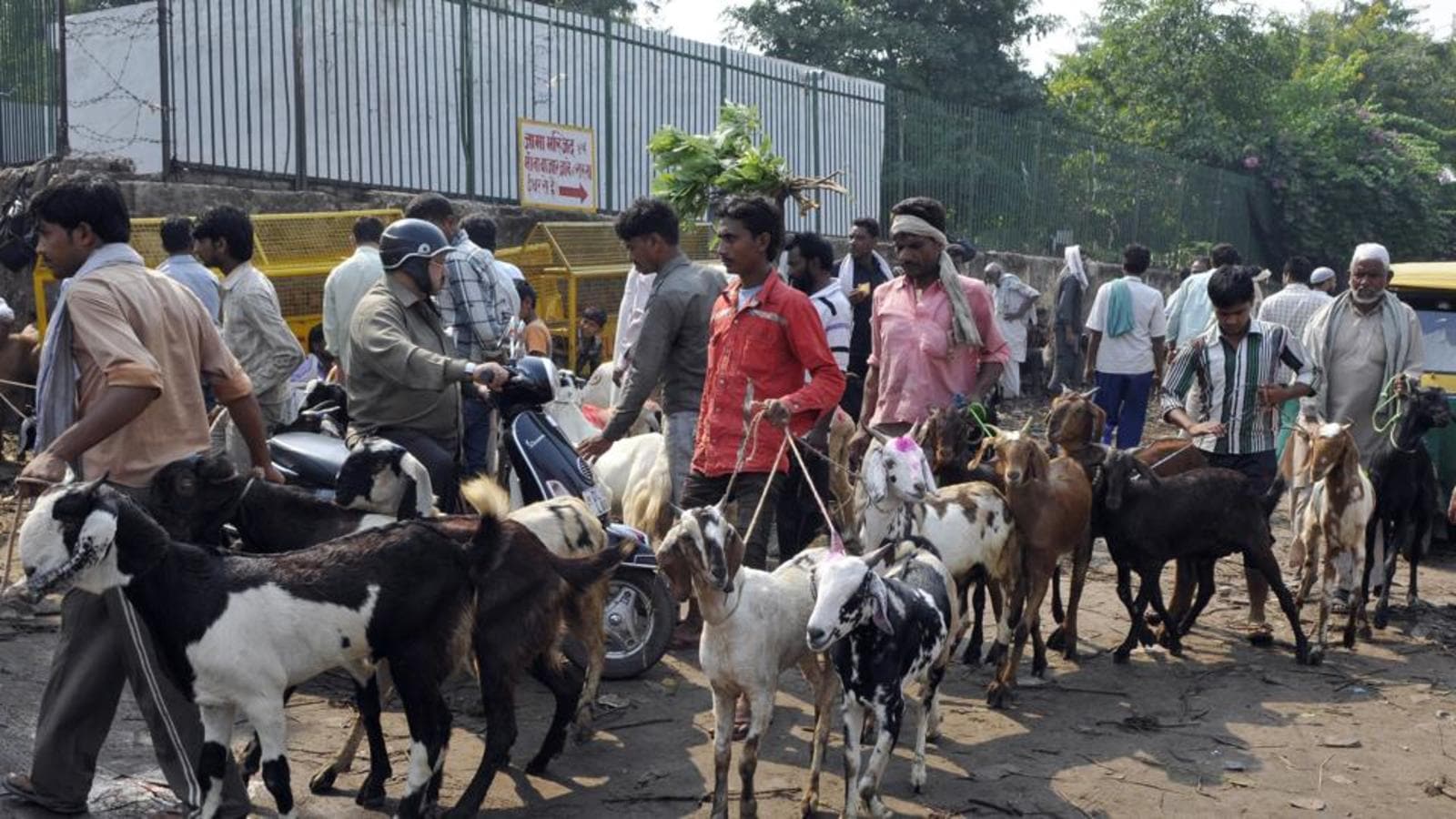 No ban on animal sacrifice in J&K, clarifies admin ahead of Eid | Latest  News India - Hindustan Times