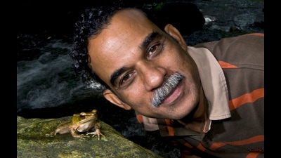 Amphibian biologist Sathyabhama Das Biju’s research is responsible for discovering 105 species of amphibians so far. He is seen here with a golden backed frog in the Western Ghats. (Courtesy SD Biju) Amphibian biologist Sathyabhama Das Biju’s research is responsible for discovering 105 species of amphibians so far. He is seen here with a golden backed frog in the Western Ghats. (Courtesy SD Biju)