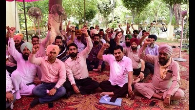 Members of the Revenue Patwaris Union and Kanungo Association Punjab protesting against the state government at the Mini-Secretariat in Ludhiana on Friday. (Gurpreet Singh/HT)