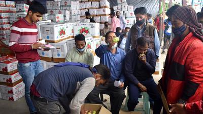 Orchardists say, of late, the price of packaging material has increased by 25%. Now, growers have to shell out ₹67 for the premium carton, which used to cost ₹53. (Deepak Sansta / HT) Orchardists say, of late, the price of packaging material has increased by 25%. Now, growers have to shell out ₹67 for the premium carton, which used to cost ₹53. (Deepak Sansta / HT)